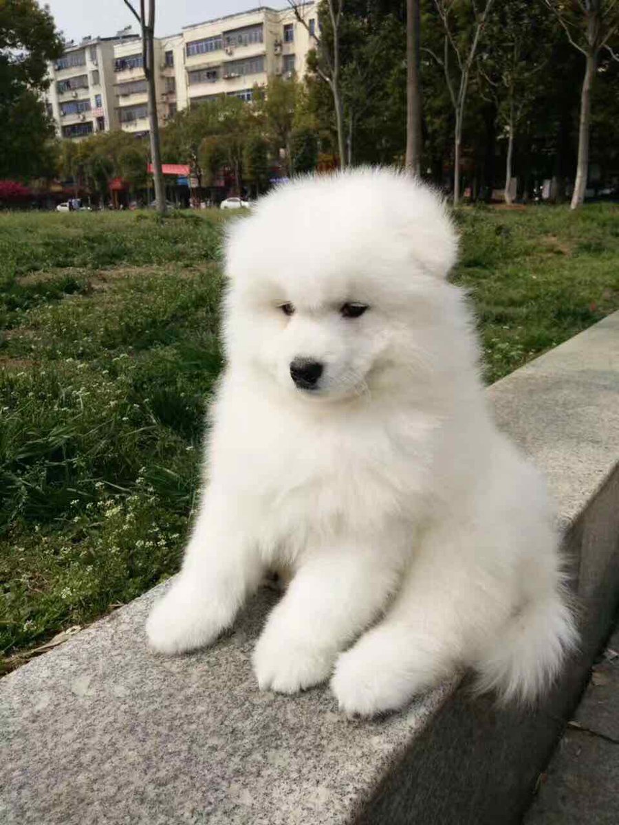 Li405502227's tweet photo. I am tired, take a break。。。。。。 https://t.co/WZuWON93r9