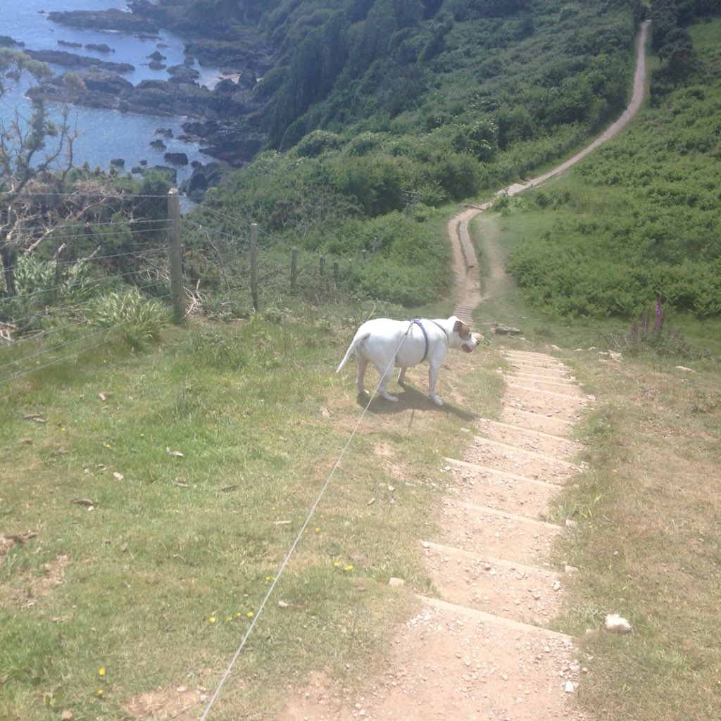 JPollicott's tweet photo. @ILoveCornwallUK @sportrelief Looe to Polperro ๐ https://t.co/EXHI6Dj8eI