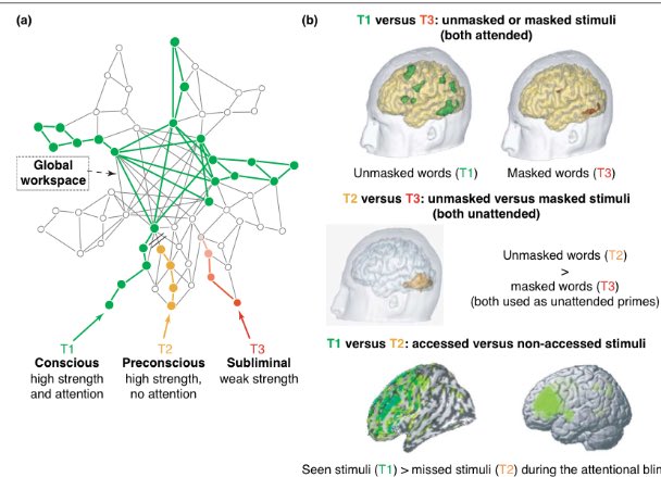 Conscious, preconscious, and
subliminal processing: a testable taxonomy researchgate.net/profile/Claire… by <a href="/StanDehaene/">Stanislas Dehaene @standehaene.bsky.social</a> ‘s team in <a href="/TrendsCognSci/">Trends in Cognitive Sciences</a>
