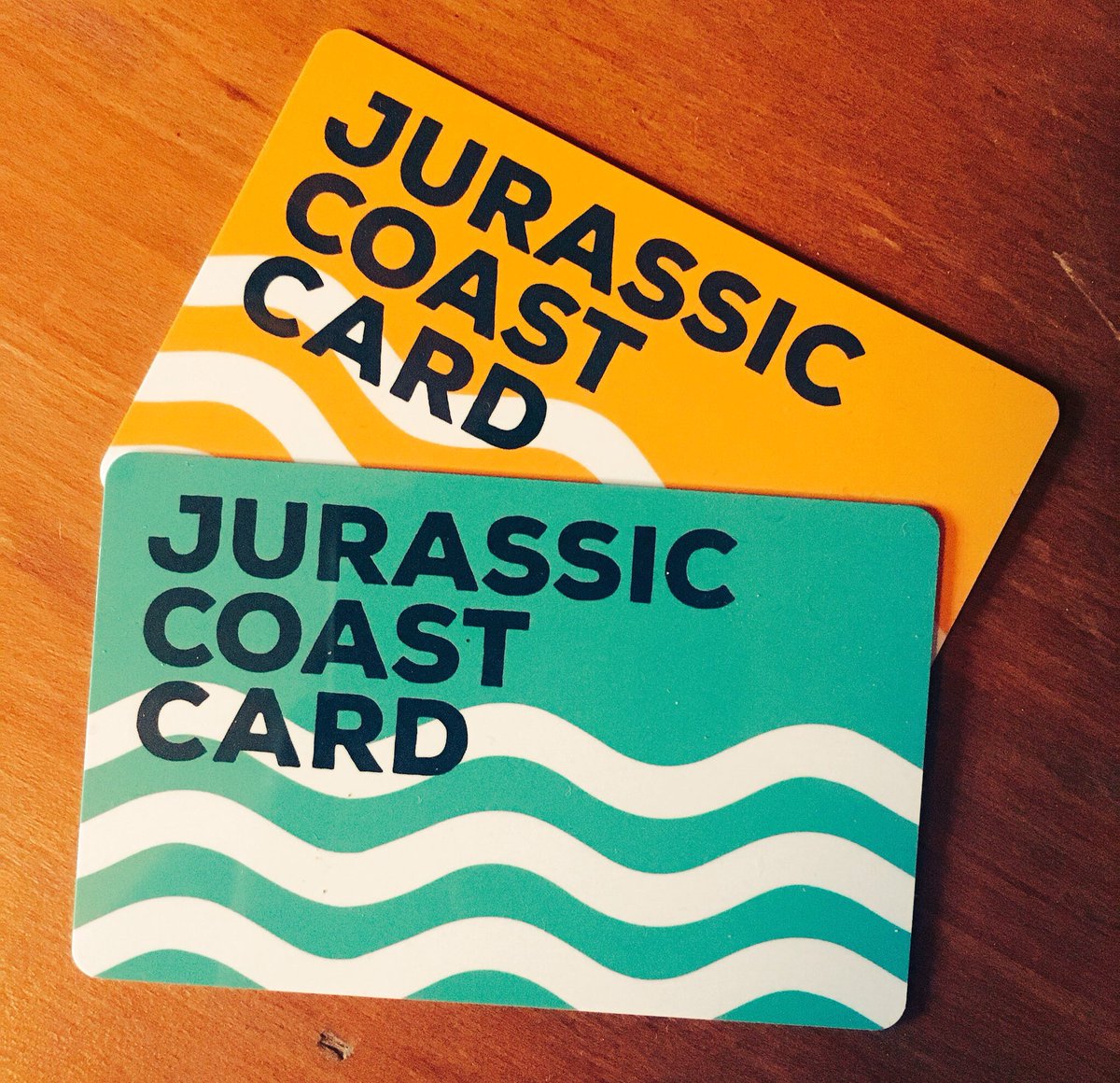 Jurassic Coast Card tweet media