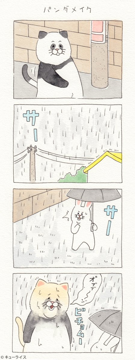Qrais_Usagi's tweet photo. 続く…。4コマ漫画ネコノヒー「パンダメイク」/Panda makeup https://t.co/7nFWlycF8l 2月16日〜2月25日、TOBICHI東京にてキューライス初個展を開催中！→https://t.co/ZofbXALNZe https://t.co/KhishB2qpQ