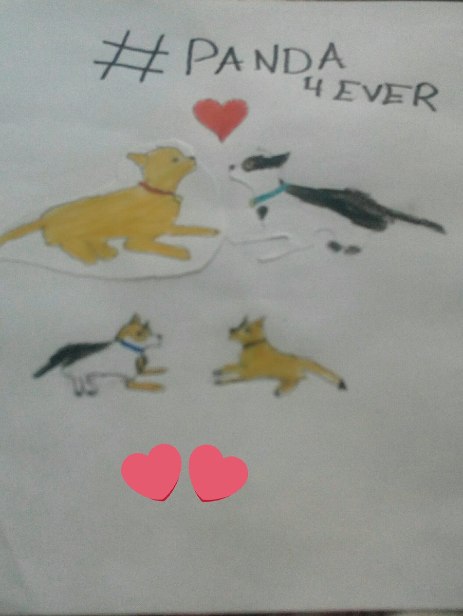 TajesLua's tweet photo. @levengames @losjuegosdesag 
@PanchoLevCf 
#PANDA4EVER y sus cachorritos💗💗💗 https://t.co/kLo08RRdqd