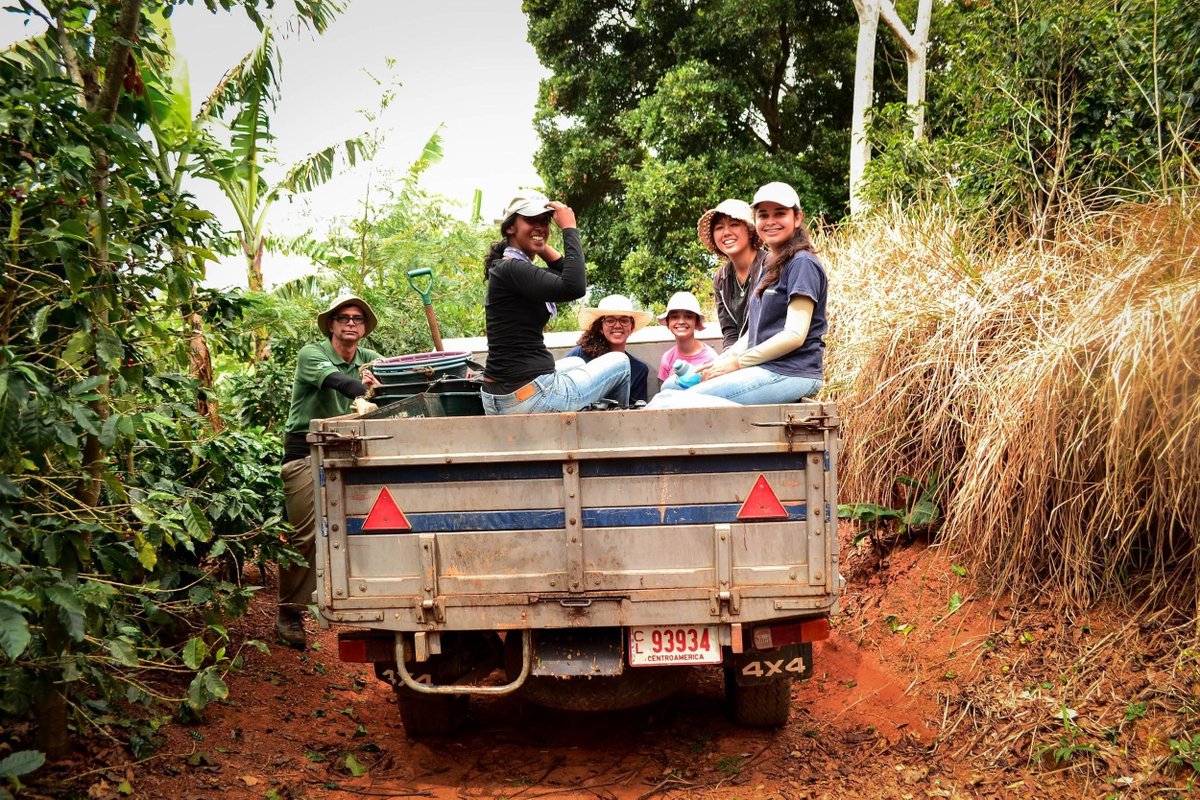 BeanSmitten's tweet photo. In Central America it's harvest time right now! We enjoyed reading this article from @PerfectDailyG Day in a Coffee Producer’s Life https://t.co/u1rpIEy1V7 #sundayreading #sundaycoffee #BeSmitten☕️ https://t.co/HvuHNGjRTF