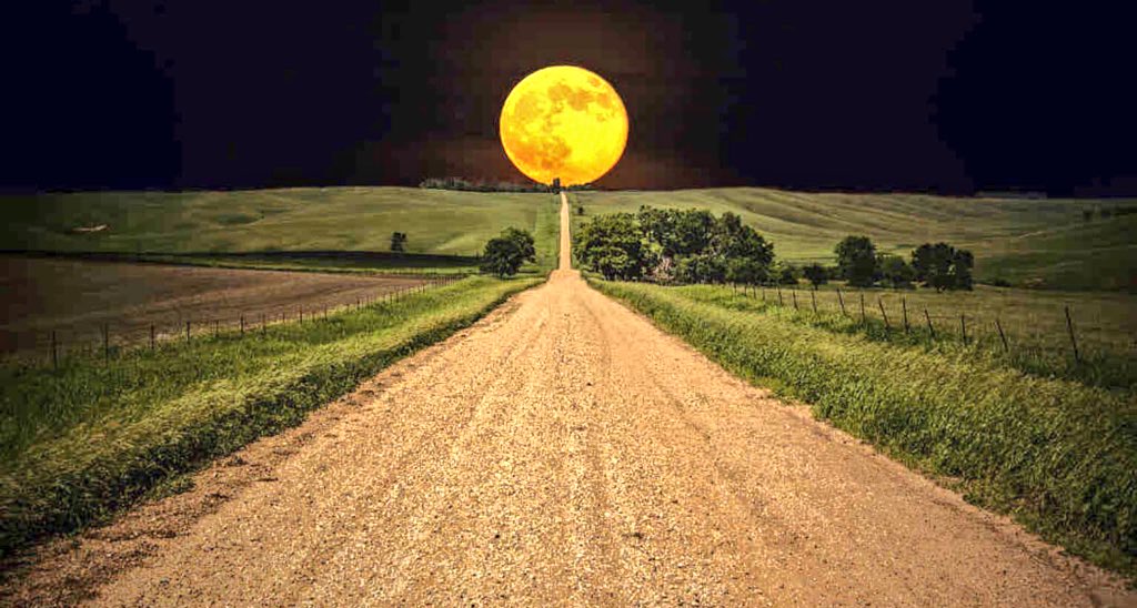 Hamworldo's tweet photo. There are no traffic jams along the extra mile. Roger stauback https://t.co/0fcJK4sGrQ