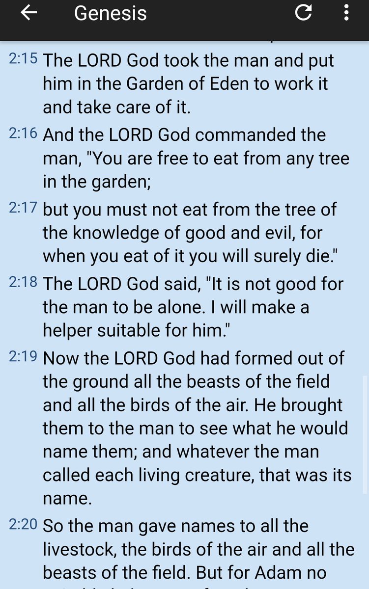 Blitz516chapel's tweet photo. Start of relationship between a man and a woman Genesis 2:15 - 25
The man had a relationship with God first 
#SponsorWorld #ItsComplicatedThisFeb 
#SwipeRightAndDate https://t.co/zt9qcyH8VR
