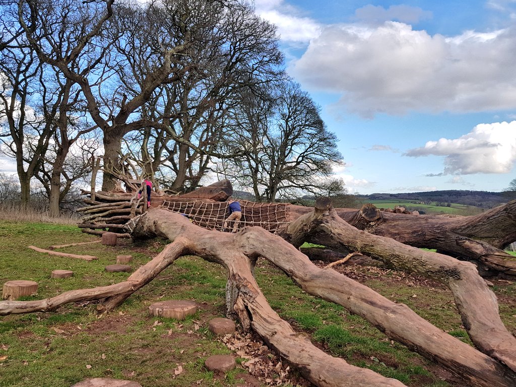 Lauren_Heath_PA's tweet image. Had a wonderful walk around the back park and forest of @NTKillerton yesterday, spotting squirrels, a Jay and a woodpecker! Also delighted to find this wonderful play tree. #exploringexeter #aDevonChildhood #familytime #familyfriendly