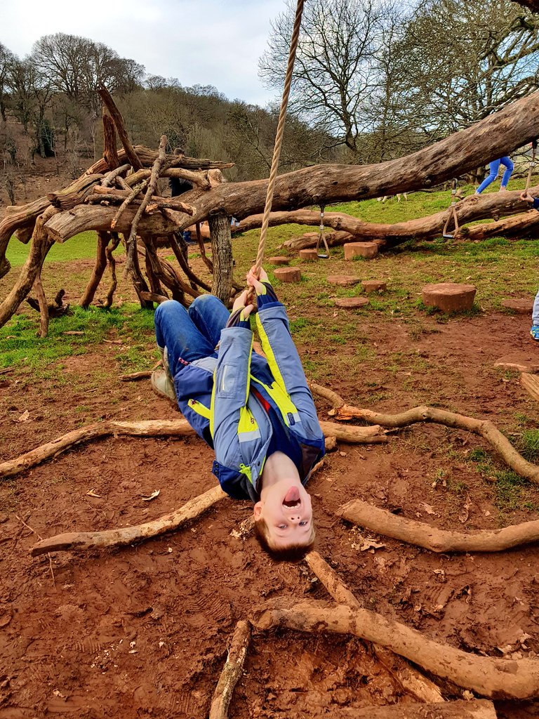 Lauren_Heath_PA's tweet image. Had a wonderful walk around the back park and forest of @NTKillerton yesterday, spotting squirrels, a Jay and a woodpecker! Also delighted to find this wonderful play tree. #exploringexeter #aDevonChildhood #familytime #familyfriendly