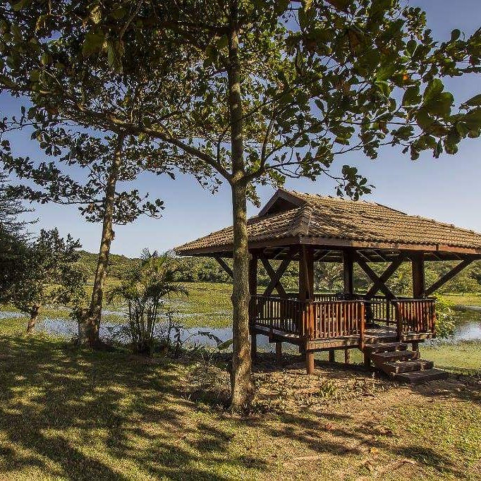 imvubulodg's tweet photo. All that’s missing is you...

#Wunderlust #ImvubuLodge #EscapeToNature #beautiful #nature #birdwatching #Travel #africa #Zululand https://t.co/GyspqrJvMN