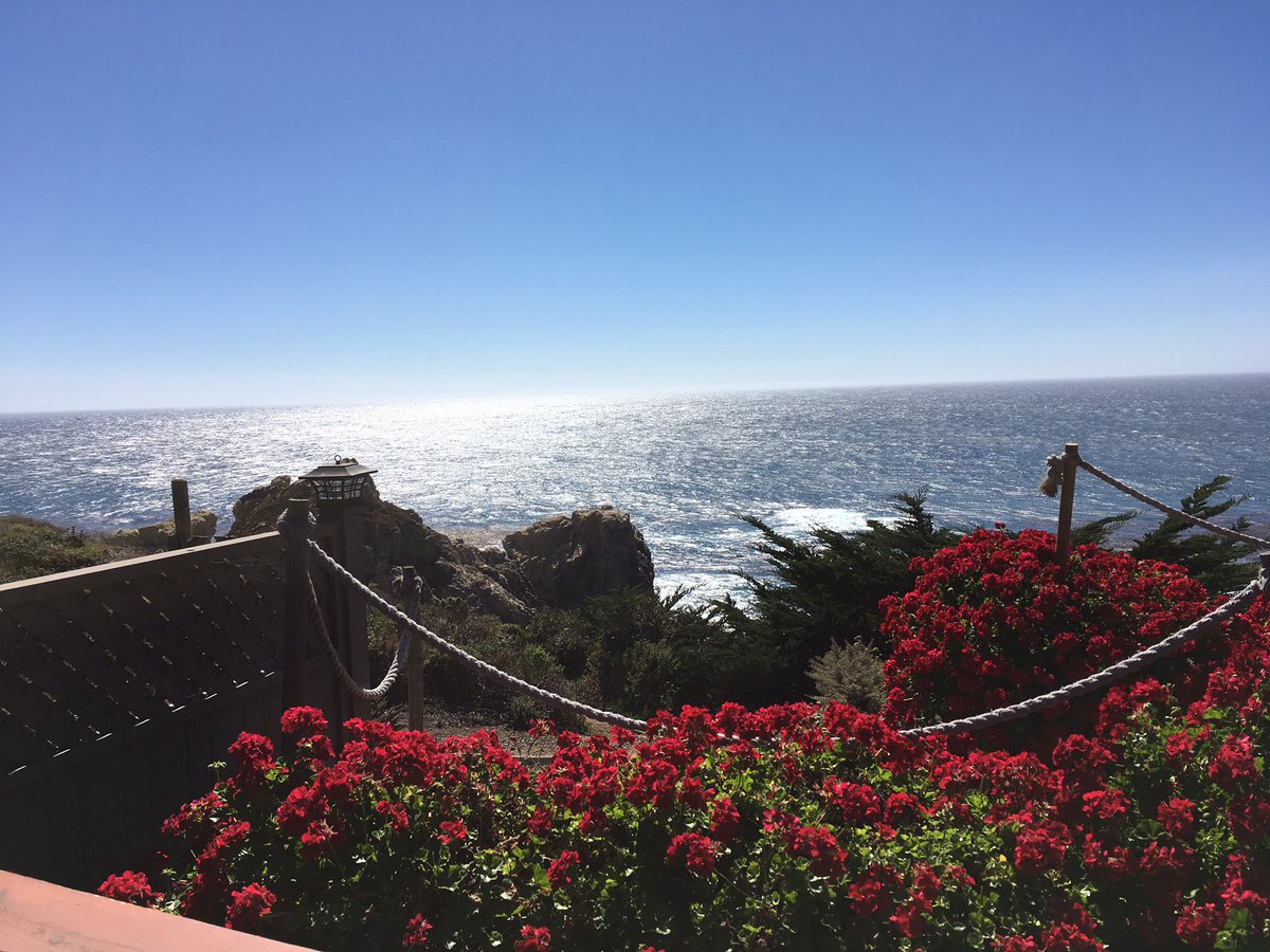 NATIVEg8r's tweet image. Have a blessed and beautiful day. Celebrate what you love. #Shellabration🐚🌞🌴