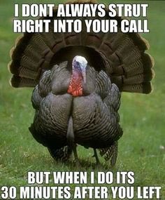BigBucksWalking's tweet photo. 40 days...20 hours till turkey season opens in TN for the gang here at #BigBucksWalking #ThunderChicken #TalkDirtyToMe #HuntTN https://t.co/TPHDJdQT25