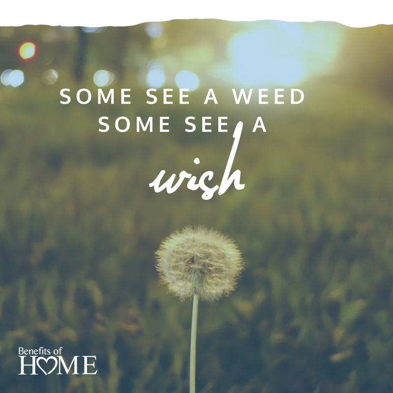 Benefitsofhome_'s tweet image. There is purpose all around if you only stop to see it. Our caregivers are dedicated to their purpose of providing care for your loved ones.

#purpose #wish #dream #caregiver #careprovider #kcmo #kansascity #care #elderly #healthcare #benefitsofhome #eldecare