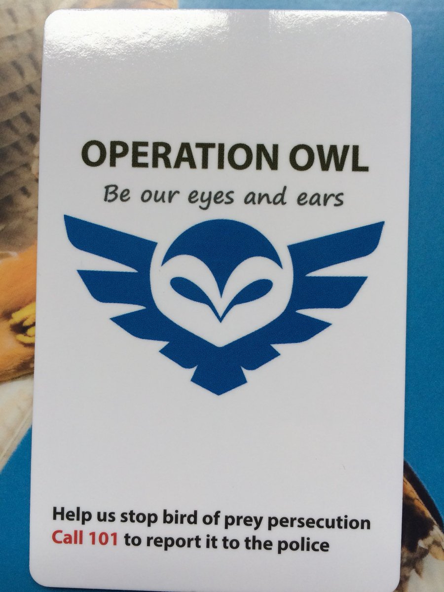 #OpOwl @NYorksPolice @northyorkmoors @RSPBbirders great start to Operation Owl