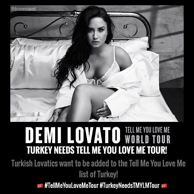 lovatic_teamdem tweet picture