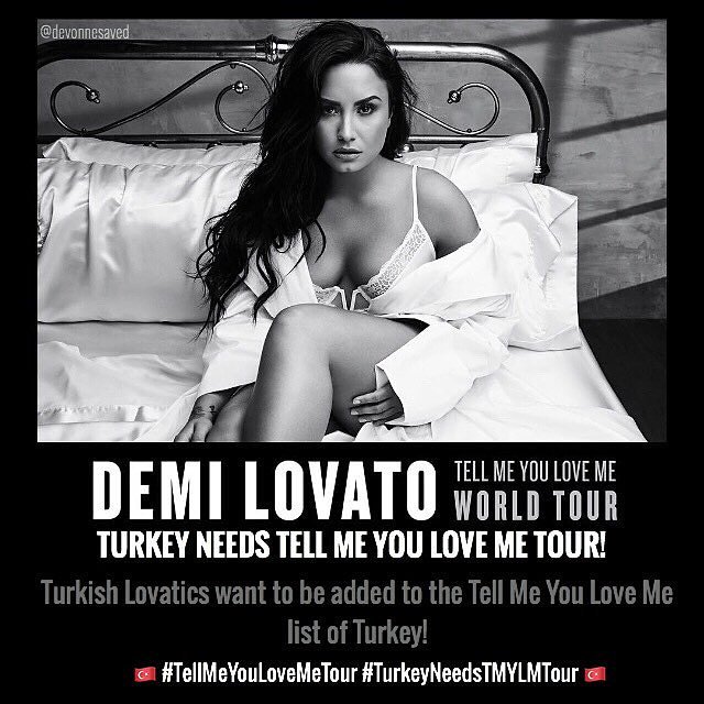 lovatic_teamdem tweet picture