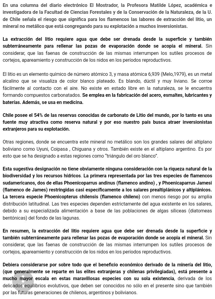 freddypatri's tweet photo. @PersonalEscrito @Chileokulto @CleoCata @MarciaVargasS @rmunda @chileno_chato @gransopi @noalPresimiente @chileconvoca @Chile_Alerta #Litio fue regalado a #SQM una de las empresas mas cuestionadas por el uso de aguas y su manipulación politica. #Flamencos #Parinas https://t.co/5Au52k2PX9