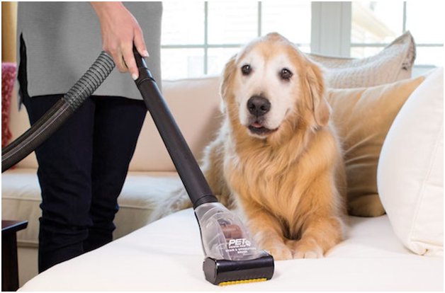 Tips To Keep Your House Clean If You Have A Pet Dog dlvr.it/QGqmLG