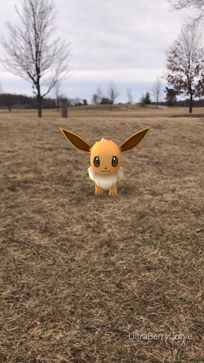 YoitsTJ23's tweet photo. @PokemonGoApp Eevee ❤️ #pokemongo https://t.co/jd9hdrjdx3