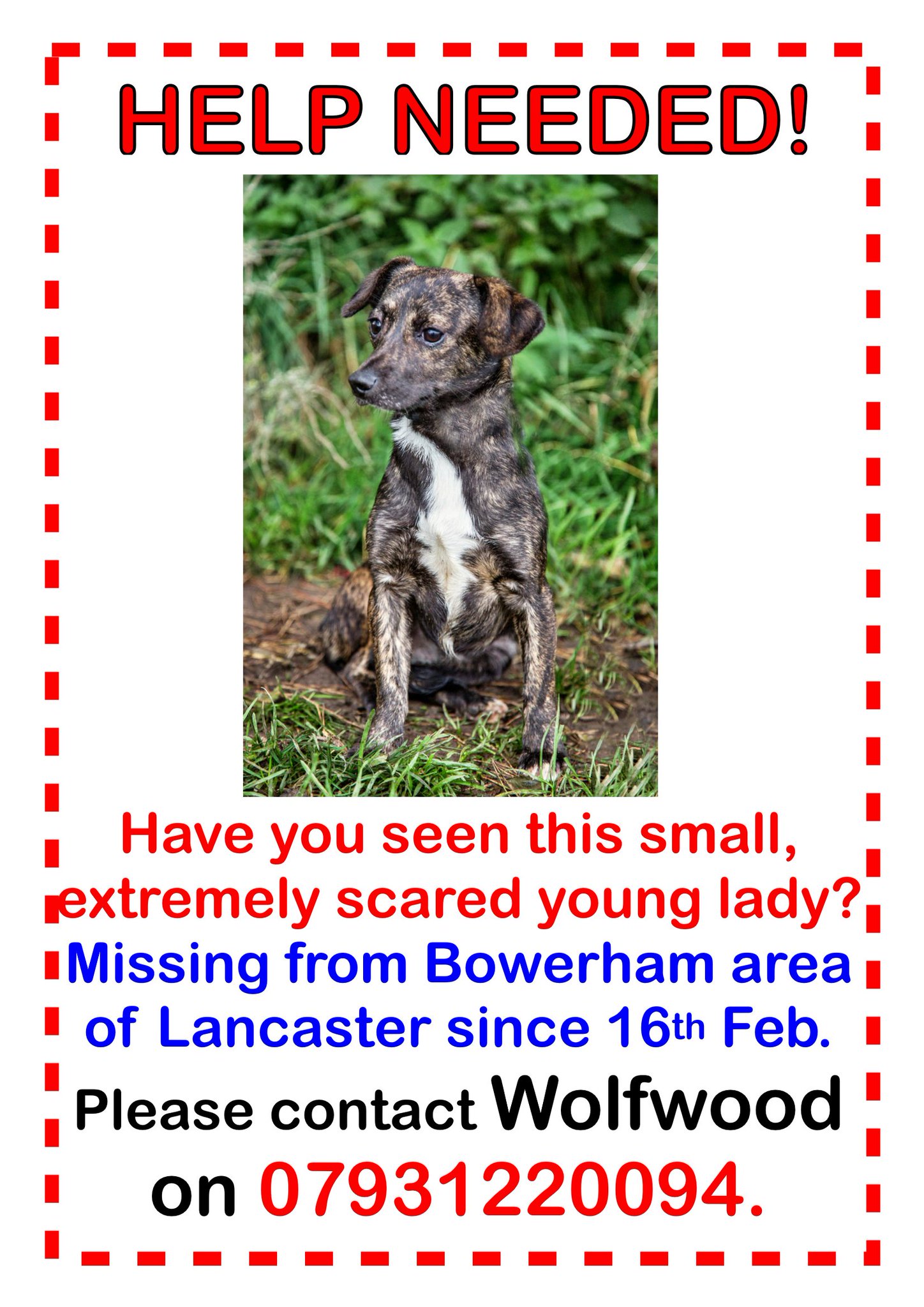 wolfwood animal rescue