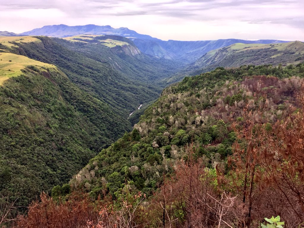 AnnabelGerry's tweet photo. Stunning - and high up! Pungwe. Honde. Mutarazi. #Zimbabwe 🇿🇼 https://t.co/mA21cae6OS