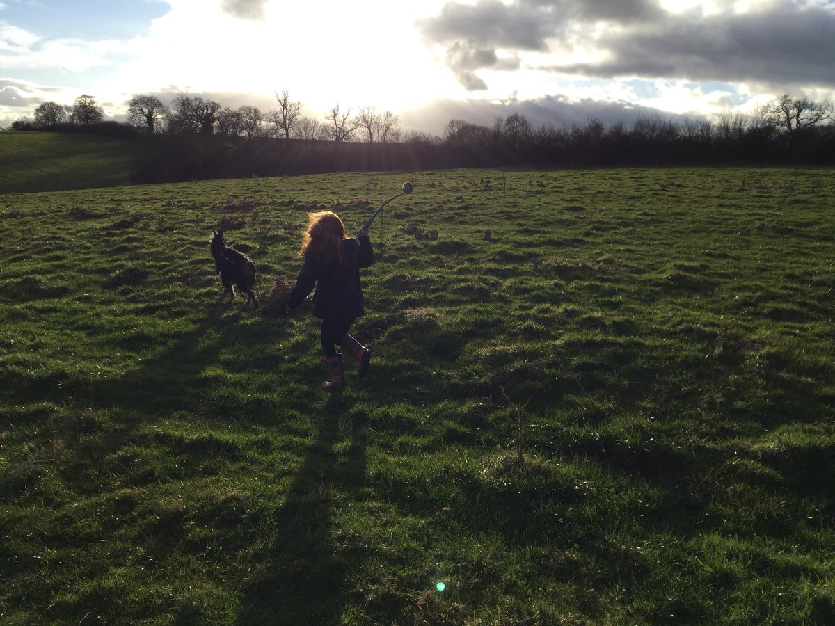 LauraJS81's tweet image. Grace horse riding over half term and going on lots of dog walks #healthylatimer #classpk @latimerprimary