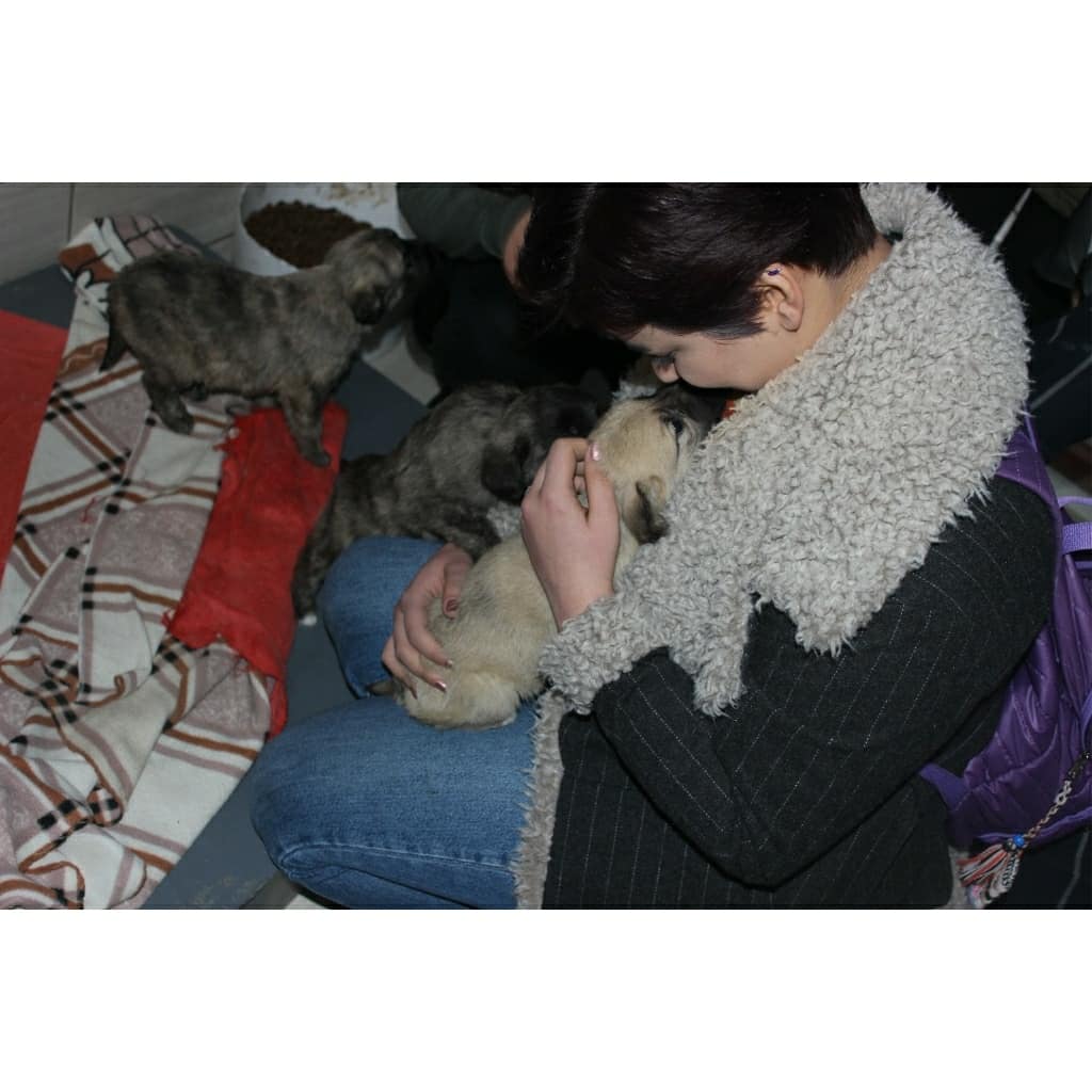 barinakprojesi's tweet photo. Barınak ziyaretimizden güzel kareler🐾 #sokaktakidostumiçin #hayvanlarınsesiol https://t.co/5fKI6ijFdJ