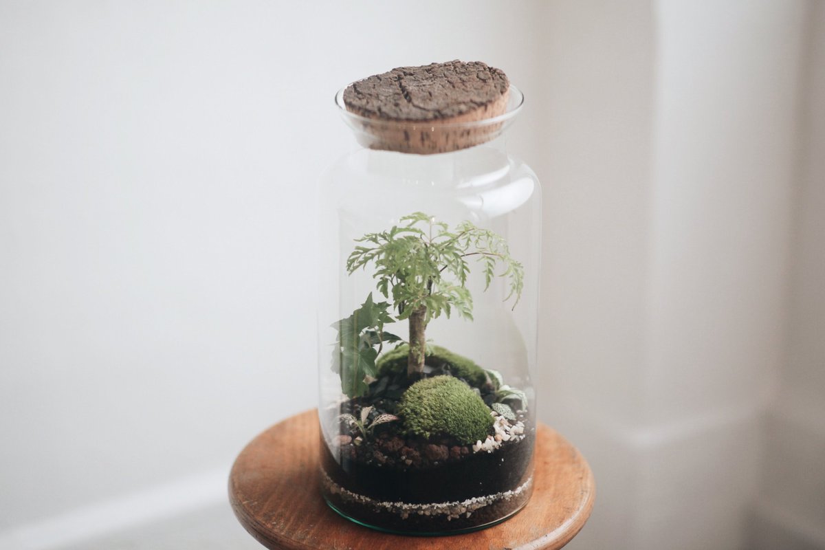 onnorium's tweet photo. Découvrez le terrarium KIRINDY. Disponible chez nos boutiques partenaires et sur l'eshop : https://t.co/nxPdXFQCf7 https://t.co/AozOzxdBU2
