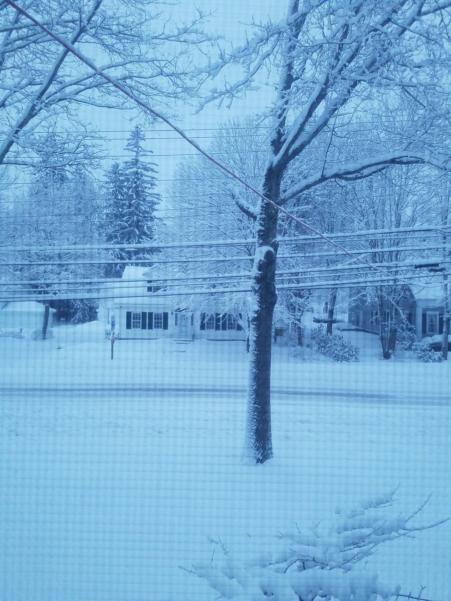 rfduval96's tweet photo. Good Morning from Maine. #quicksnow https://t.co/KqIvbgp5oh