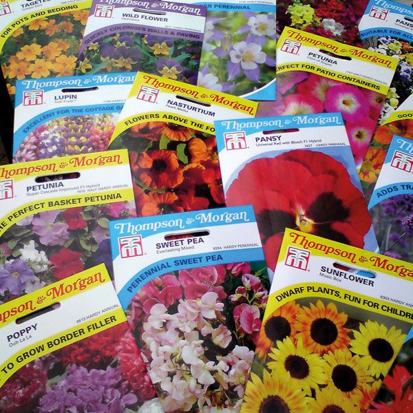 ThompsonMorgan's tweet image. Sunday Giveaway! We're giving away 20 mixed seed packs to 3 lucky winners selected at random from the comments or replies below - All you have to do is tell us your favourite spring flower that you're looking forward to seeing - Don't forget to tell your friends about it too!