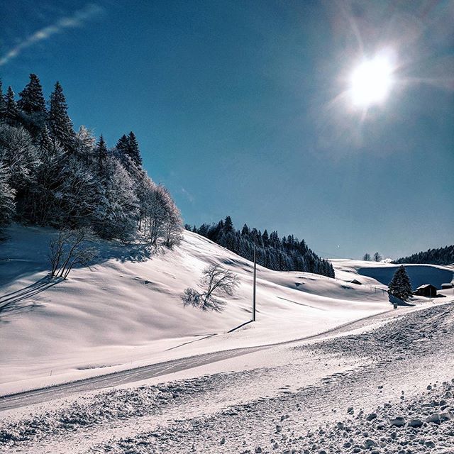 michael_backes's tweet image. Swiss winter landscape (2/7). St.Margrethenberg is a lovely small highvalley near Bad Ragaz.

#inlovewithswitzerland #visitswitzerland #heidiland #feelthealps #stmargrethenberg #swisswinter #verliebtindieschweiz #pfäfers #badragaz #winterwonderland #beautifulswitzerland