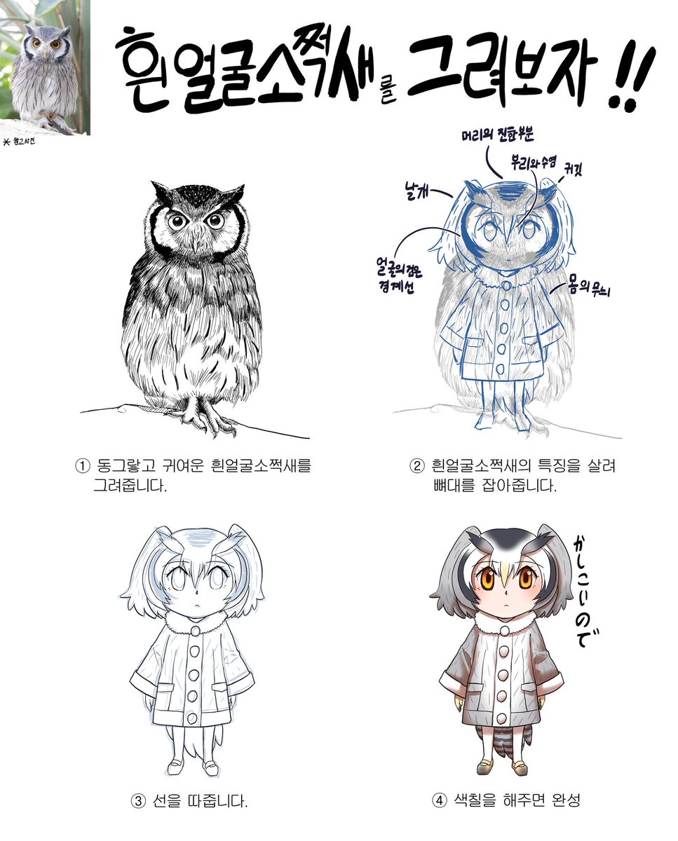 흰얼굴소쩌새 그리는 법 #케모노프렌즈 #けものフレンズ, image size:967x1200