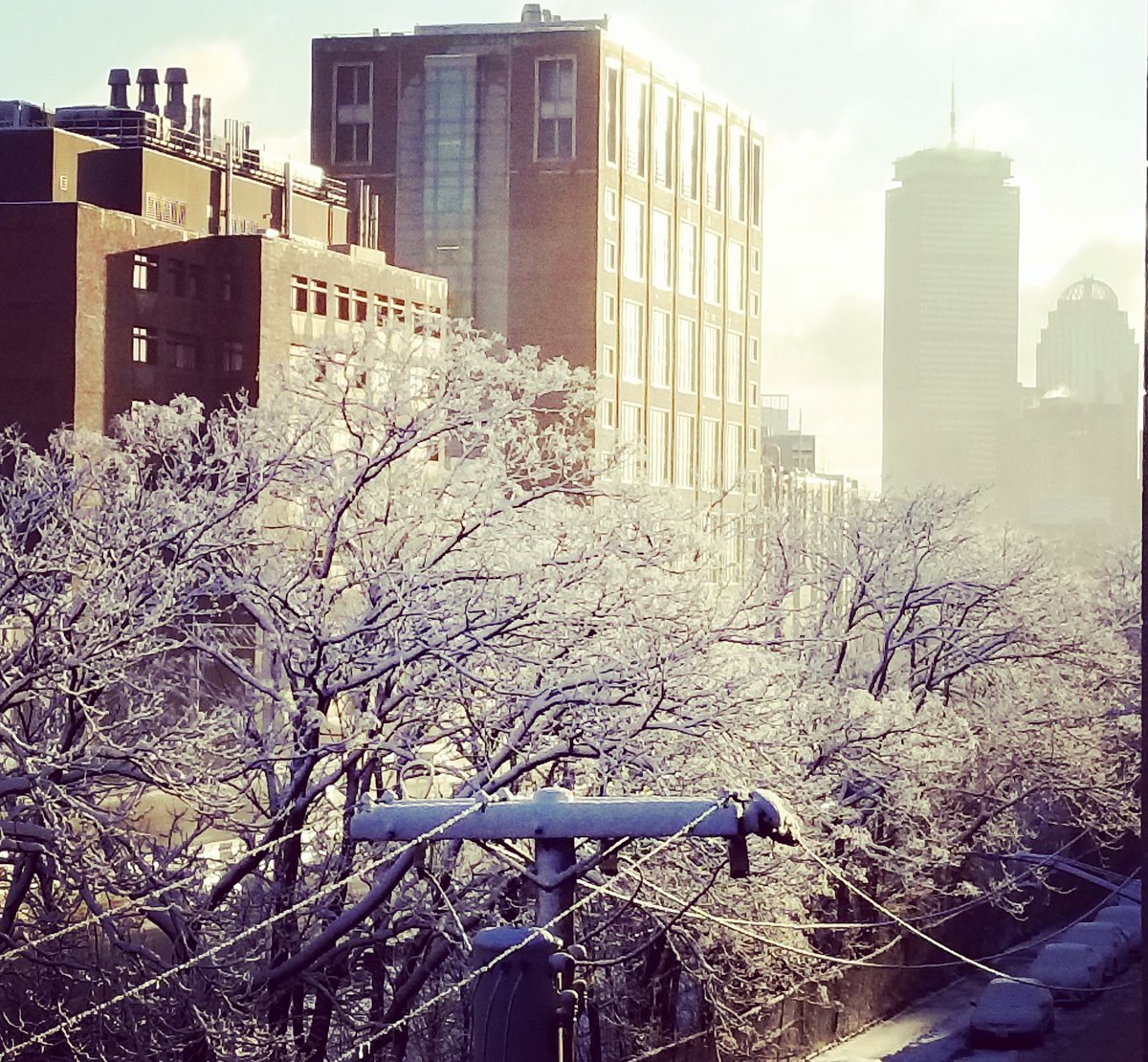 daryldeluca's tweet photo. Snow covered trees along Boston University's residential South Campus creates a 'Winter Wonderland' scene along the Mass Turnpike Extension.  The 52 story Prudential Center Tower always in view. @applytobu @BU_Tweets @bualumni   #facesofbostonuniversity #burooftoptour https://t.co/fBu6veQjQ2