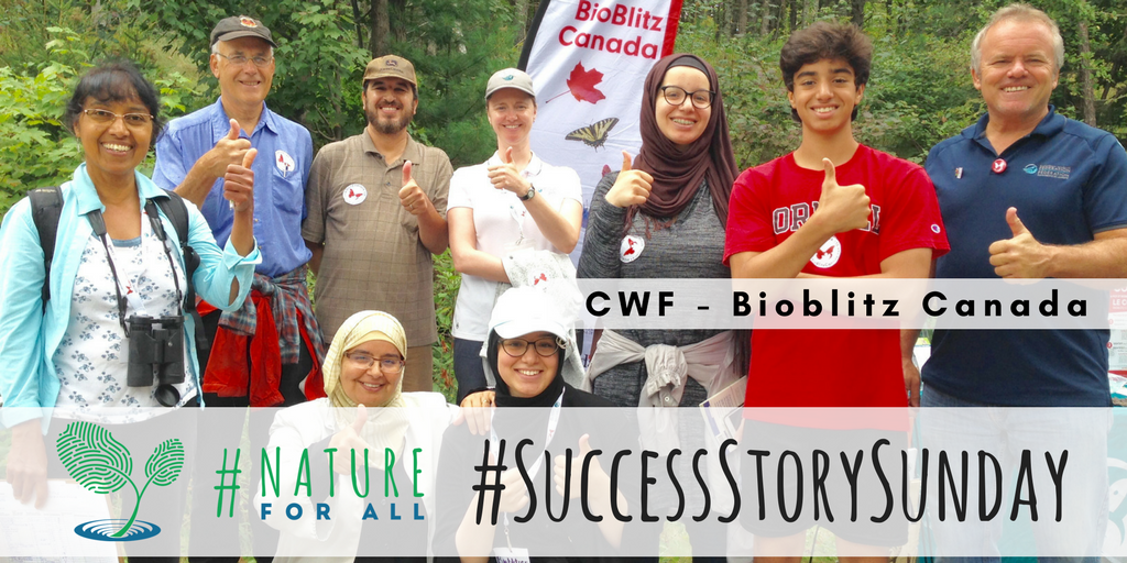 natureforall's tweet photo. @CWF_FCF and #BioBlitz150 connected Canadians with nature while utilizing technology using the @inaturalist Canada app. #SuccessStorySunday #NatureForAll
https://t.co/jiOtwkcgK4 https://t.co/RpdUkViHOM