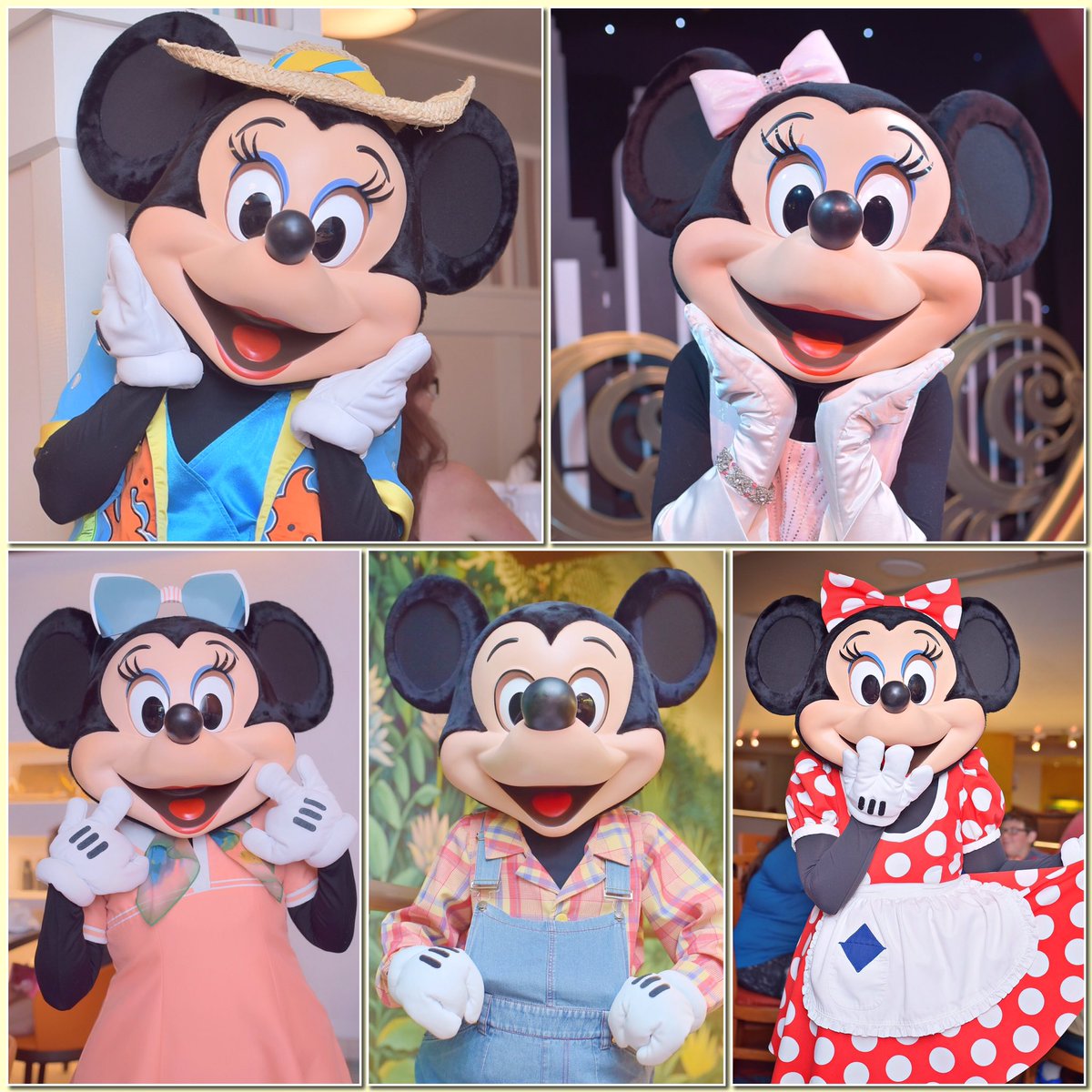 chipdale_ymm's tweet photo. 3度目のお友達探しです🙆

93line.パフェクリが大好きです❤️

#ディズニー好きな人と繋がりたい 
#フォロワーさんのフォロワーさんと繋がりたい 
#RTもしくはいいねで気になった方お迎えします https://t.co/n7pMMViJGa