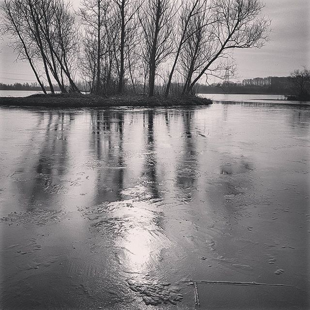 heijnisschipper's tweet image. #treereflection on #ice ift.tt/2Ez5dIg