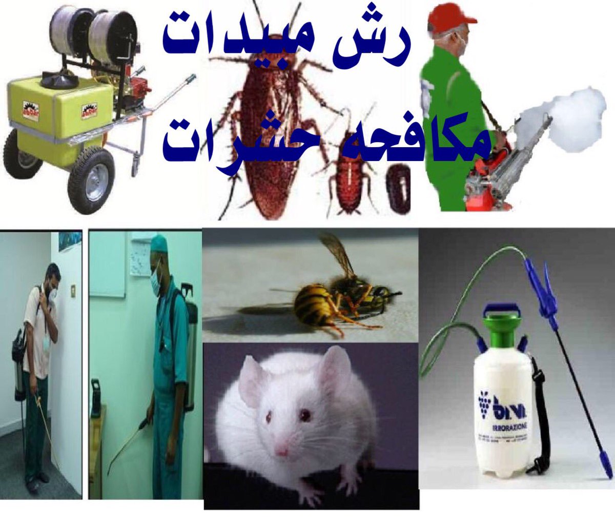 شركه نقل اثاث ٠٥٣٨٥٤٨٠٥٢المنطقة الشرقية 
نقل عفش مع الفك وتركيب وتغليف  خدمة ٢٤ساعة 
مكافحة الحشرات النمل الأبيض والأسود الصراصير وجميع انواع الحشرات مكافحة الحمام 
وتنظيف خزانات 
وتنظيف شقق وفلل وقصور عمائر  ومدارس 
الدمام /الخبر/الجبيل/القطيف  ٠٥٤١٦٤١٨٣٧