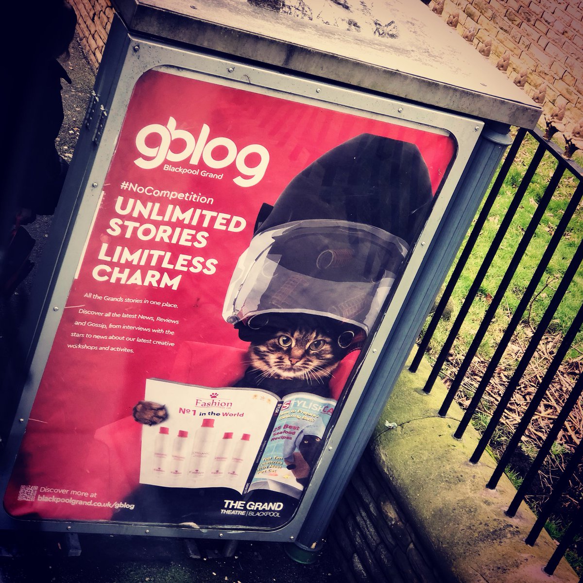 PhD_BPL's tweet photo. Bus Stop campaign looking great across #blackpool #gBlog - have you spotted one of our @Grand_Theatre animals?!
#nocompetition #gcat #blog #gVlog #goVR #gPlayer https://t.co/hCv67mIzhK