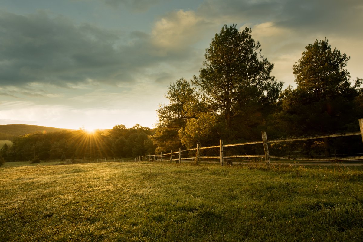 LottieJohn1's tweet image. If you've an appetite for a further farming saga, following this morning's Archers Omnibus, here's my post on proprietary estoppel and testamentary capacity in James v James [2018] EWHC 43 (Ch).

equitysdarling.co.uk/2018/02/18/pro…