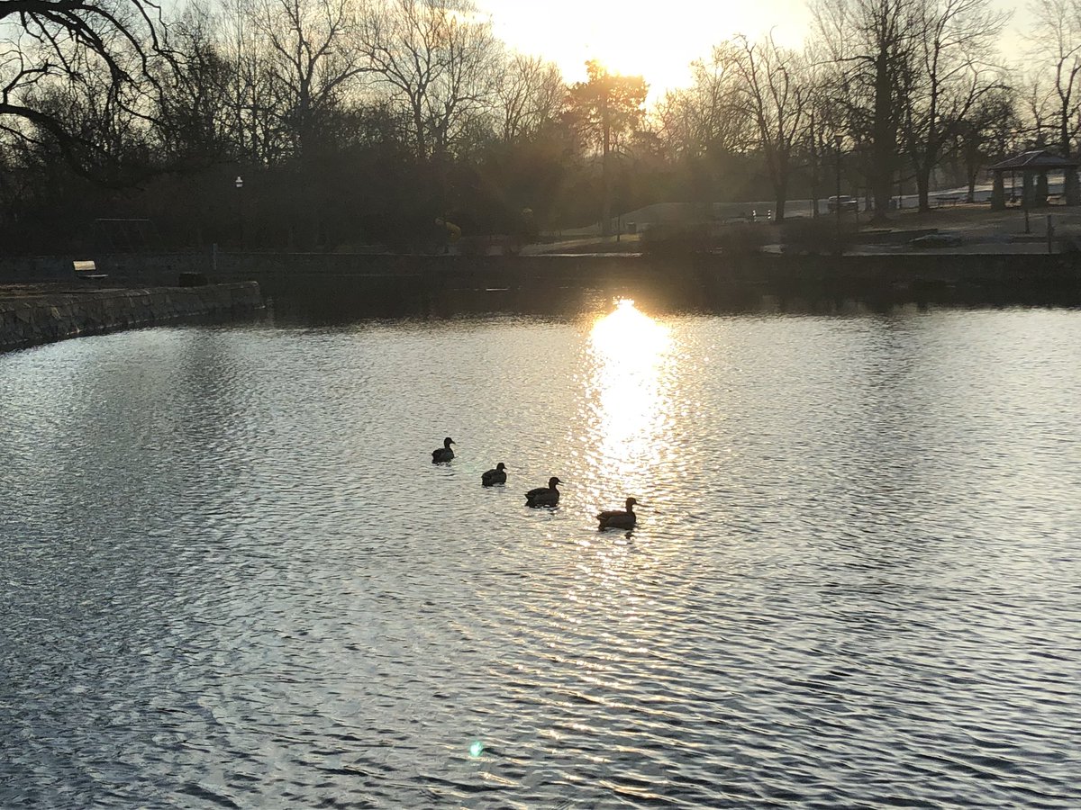 sheilachrissy's tweet photo. Sunday morning walk. @TheParkBoard #Doling https://t.co/K64Nxm4MTf