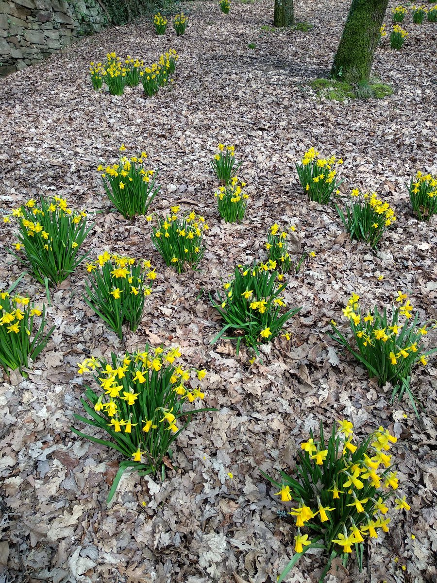 pilaraymara's tweet photo. #Compostela #ParquedeBonaval #BonavalPark 💕💕💕 https://t.co/LmxjAPsXzH