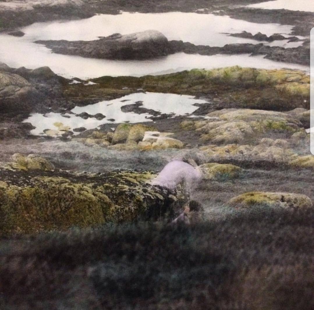 The first time #HEWINGWITTARE saw the beautiful work of Katie Salmon
Detail of hand coloured photograph 'Blue Grey (landscape)' <a href="/FlorenceTrust/">The Florence Trust</a> #Exhibition #Residency 
#Closeup #WhatADelight #FlorenceTrust #HandColouredPhotograph #ContemporaryPhotography #London