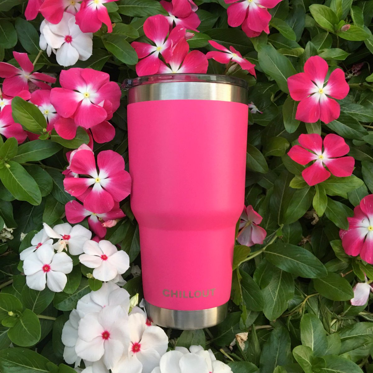 chilloutlife4u's tweet photo. Amazing color... Premium quality... https://t.co/ltPo62mrYv 
#pinktumbler #powderCoatedtumbler #travelmug #hotpinktumbler #hotpinkmug #pinkcoffeemugs #travelcoffeemug #magentomug #beautifulmug #mugforteacher #pinkblossom #pinkflowers https://t.co/EqjloKAXDp