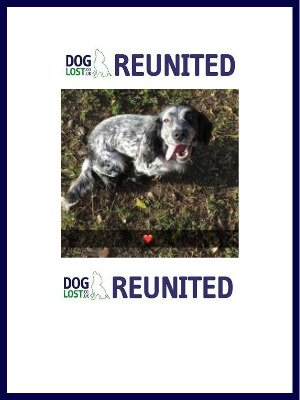 DogLostUK's tweet photo. https://t.co/APRu0MkoTS
#REUNITED Female #CockerSpaniel #Grimsby #DN37 #ReunitedDog #ScanMe https://t.co/Tr37YnyPVB @VetsGetScanning @SAMPAuk_ https://t.co/wAtdUUFBin