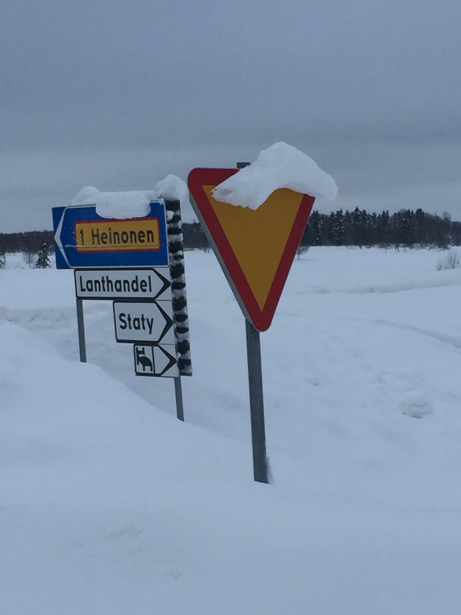 Norr är inte botten.
Myggfritt just nu också. Love it.