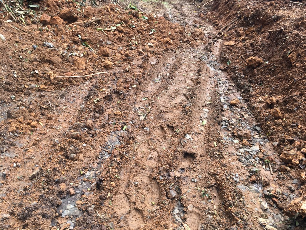 scottburchNPS's tweet photo. Mt Alava trail is a mess and dangerous. Please stay out of the forest and off  @NPamericansamoa trails until crews have the chance to clean up after Cyclone Gita. https://t.co/LMOIjHLefd