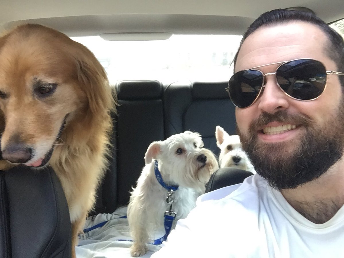 JordanDWinter's tweet image. I took these babes on the @AtlantaBeltLine and they loved it. Molly the Golden is a pro and a fan favorite but this was the first time for Lilly and Lacey and they were obsessed. Video evidence to follow. #puplife #adorablepups #beltline