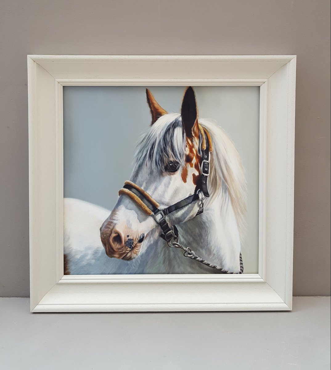 Pleased with how Sam looks in his frame. Please get in touch if you're considering a commission of your own. #gypsycob #gypsycobs #horse #equineart #equestrian #equestrianart #equine #horseportrait #horseriding #horsepainting #ilovemyhorse #art #art🎨 #oilpainting #oilportrait.