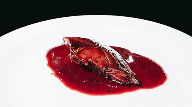 lenna's tweet photo. Colombaccio affumicato, il petto e salsa civet - Risorante Giglio
.
.
.
.
.
#foodies #gourmet #extralucca #instafood #ForbesTravelGuide #seetoshare #cntraveler #tasteintravel #lovetheworld #huffpostgram #tarteaucitron #TLPicks #natgeotravel #suitcasetravels #lifewelltravele… https://t.co/cNEYqH0jeZ