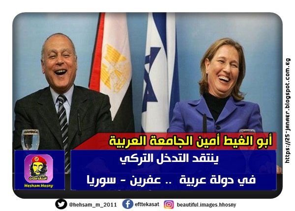 أبو الغيط أمين الجامعة العربية في جلسات مؤتمر ميونيخ للأمن ينتقد التدخل التركي في دولة عربية ( عفرين - سوريا )