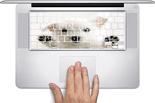 TAdesigns_info's tweet photo. Trendy Accessories Cute White Puppy Design Print Image Macbook Keyboard Decals (Fits 11 inch Air) available at https://t.co/Y4yYmk6PI4 #vinyldecalsticker #macbook #laptopaccessories #puppy https://t.co/kGCRkWwhsH