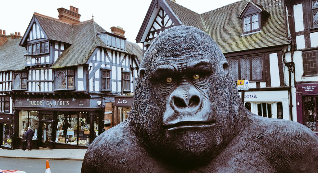 eyebrowstim's tweet image. After visiting #wildcop in #Shrewsbury, I left behind our bag containing my wife's phone. 
A lovely couple called me from the phone and waited for me to collect it. I'm not sure I expressed my gratitude enough in the panic, so if you're reading this... Thank you! #roak